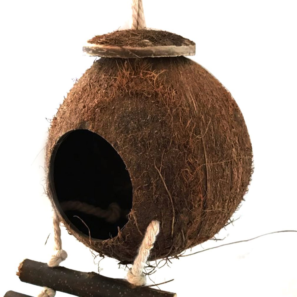 Parakeet Coconut Shell Bird's Nest