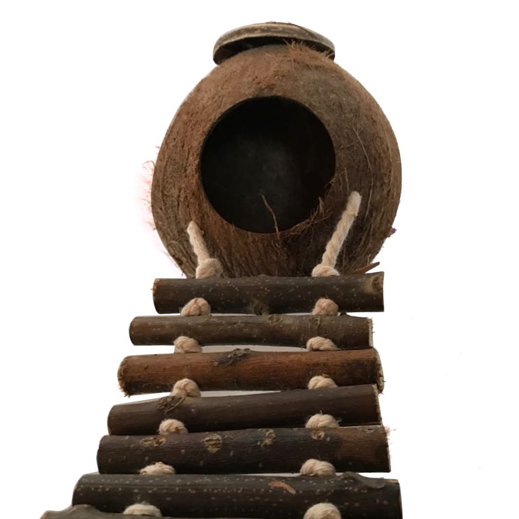 Parakeet Coconut Shell Bird's Nest